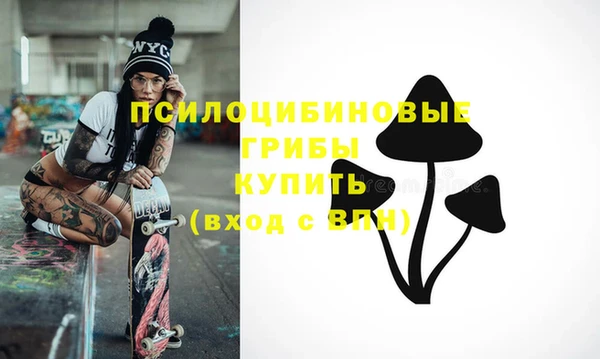тгк Верея