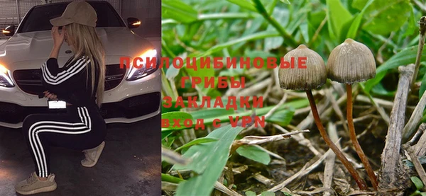тгк Верея