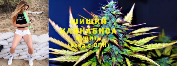молекула духа Верхний Тагил