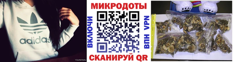 Псилоцибиновые грибы MAGIC MUSHROOMS  Вельск 